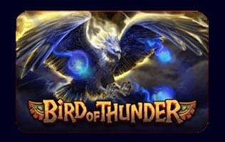 สล็อต Bird Of Thunder Habanero Luxy99