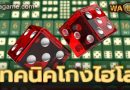 เทคนิคโกงไฮโล