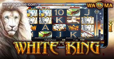 สล็อต White King Pussy888