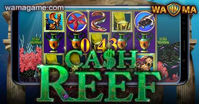 สล็อต Cash Reef Habanero Luxy99