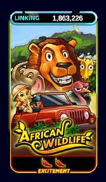 สล็อต African Wildlife WamaGame