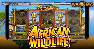 สล็อต African Wildlife WamaGame