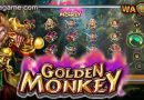 สล็อต Golden Monkey Spadegaming Luxy99