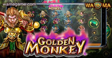 สล็อต Golden Monkey Spadegaming Luxy99